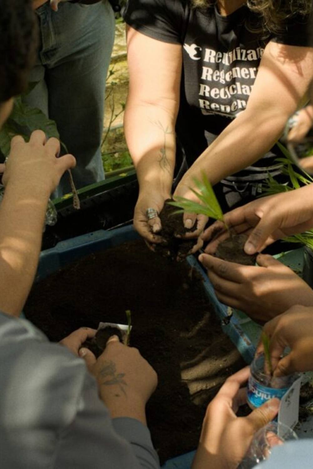 Participantes plantando mudas em vasos de garrafa PET