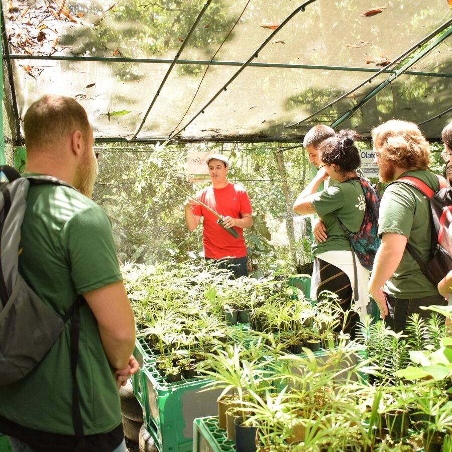 Guia explicando o processo de cultivo de mudas para um grupo de visitantes dentro do viveiro