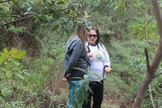 Plantadores de Árvores EcoModas-10