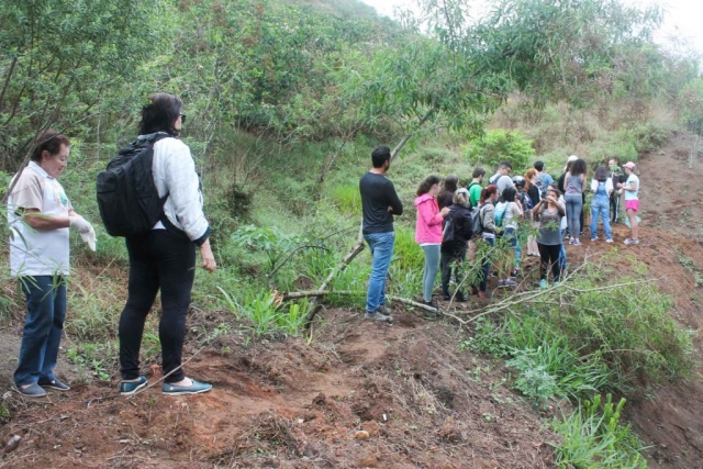 Plantadores de Árvores EcoModas-11