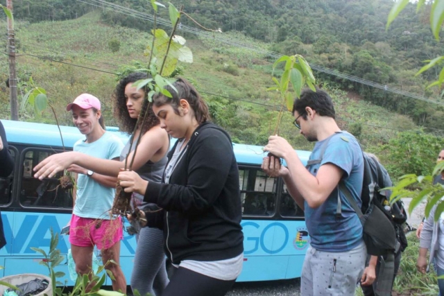Plantadores de Árvores EcoModas-13