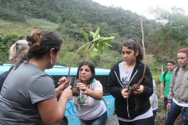Plantadores de Árvores EcoModas-16