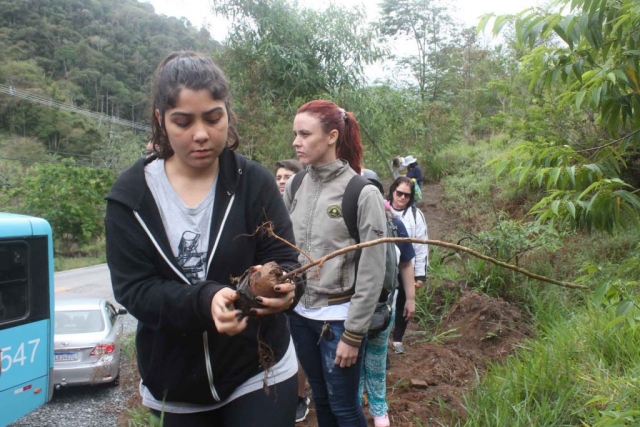 Plantadores de Árvores EcoModas-17