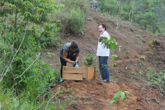 Plantadores de Árvores EcoModas-31