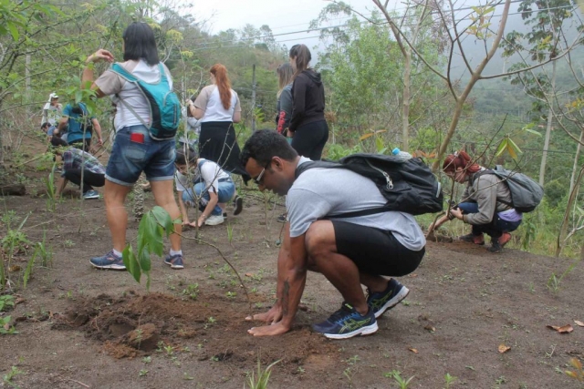 Plantadores de Árvores EcoModas-45