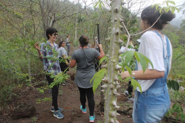Plantadores de Árvores EcoModas-49