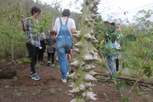 Plantadores de Árvores EcoModas-50