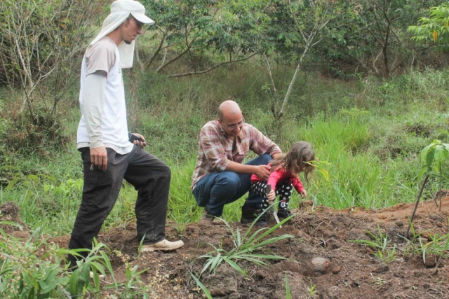 Plantadores de Árvores EcoModas-60