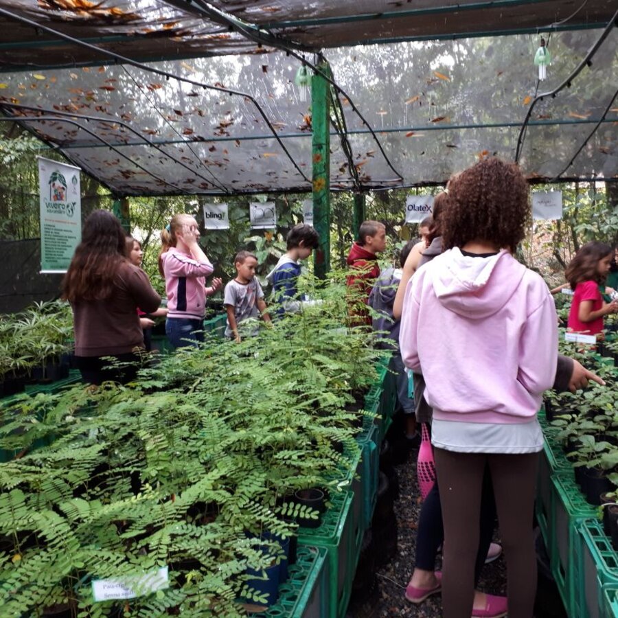 Alunos visitando o Viveiro Educandário, observando bandejas de mudas nativas