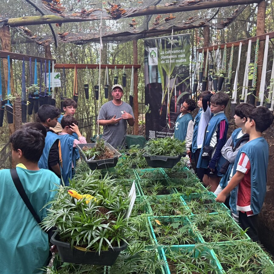 Crianças em visita escolar ao Viveiro Educandário, ouvindo explicações sobre as mudas cultivadas